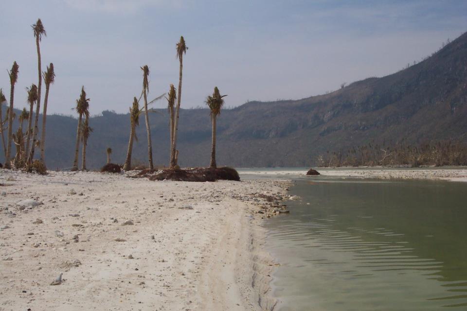 Aftermath of Cyclone Zoe.